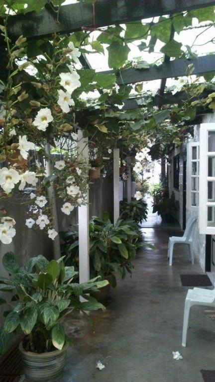 Hillview Inn Cameron Highlands Promo Tanah Rata Exterior photo